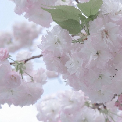 兽设场景透视绘画教程兽圈社群